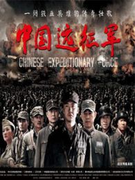 《中国远征军2:岛城风云》电视剧全集-高清在