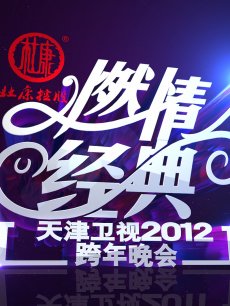 2012天津卫视跨年晚会