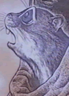 森林传说