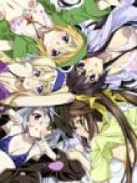 Infinite Stratos-
