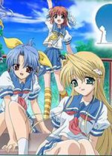 Summer