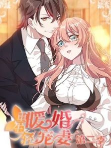 重生暖婚轻宠妻 第2季