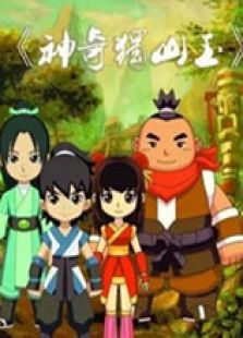 神奇独山玉免费观看