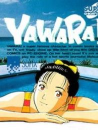 以柔克刚免费观看