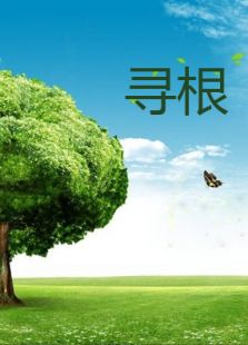 寻根微电影