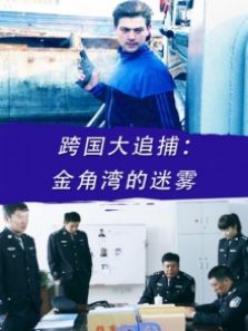 跨国大追捕:金角湾的迷雾