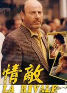 情敌完整版