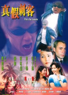 真假刺客完整版