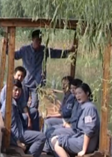 战地医生罗生特免费观看