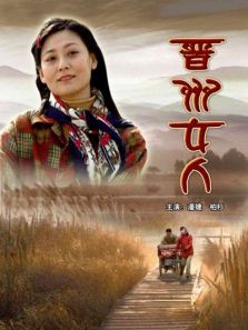 晋州女人完整版