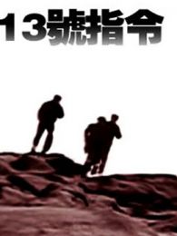 13号指令完整版