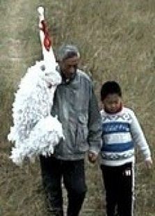 鹤无双微电影免费观看