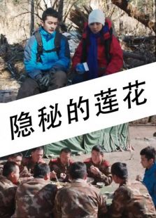 隐秘的莲花免费观看
