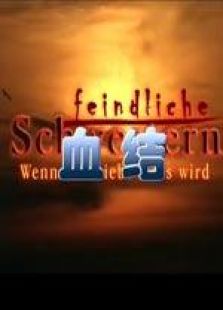 血结完整版