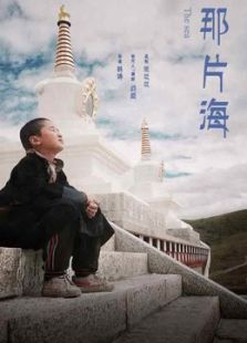 那片海微电影免费观看
