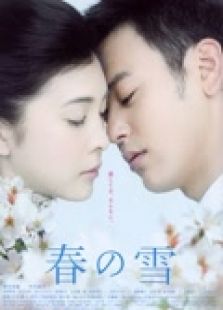 春之雪完整版