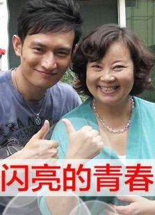 闪亮的青春完整版