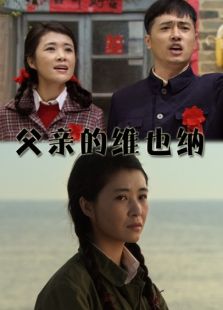 父亲的维也纳完整版