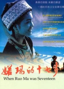 雷人的《建国大业》演员国籍表_绝命争锋演员介绍表_诺玛的十七岁演员表