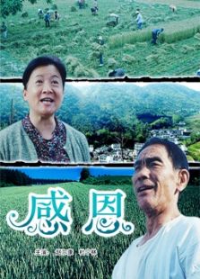 感恩,电影高清完整版在线观看下载-2345电影图片