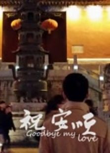 祝安顺微电影