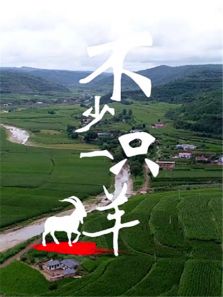不少一只羊完整版