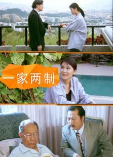 一家两制完整版