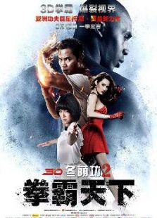 冬荫功2拳霸天下国语版