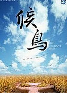 候鸟中微电影