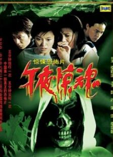 点击播放《午夜惊魂[2003]》