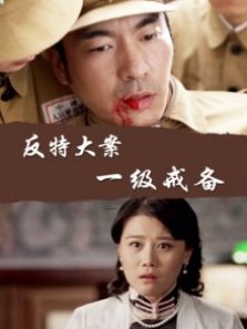 反特大案之一级戒备完整版
