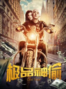 极品神偷完整版