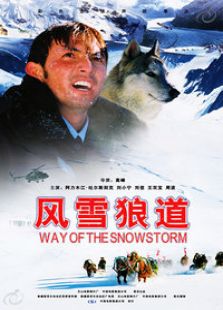 点击播放《风雪狼道》