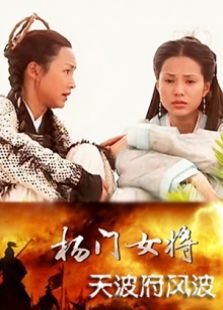 杨门女将天波府风波完整版
