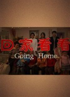 回家看看