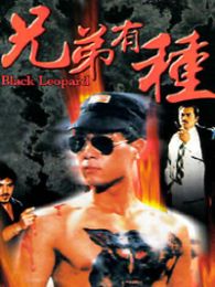 兄弟有种完整版