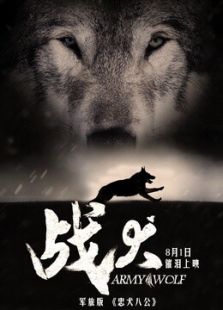 点击播放《战犬》