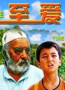 至爱完整版
