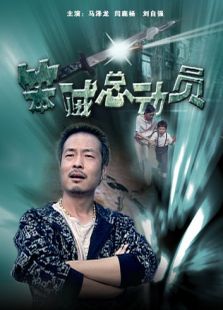 笨贼总动员完整版