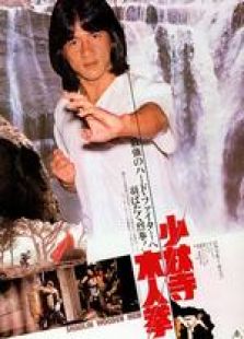 少林木人巷国语
