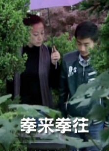拳来拳往完整版