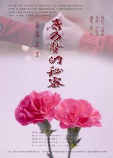 点击播放《康乃馨的秘密[微电影]》