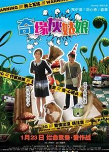 奇缘灰姑娘2014