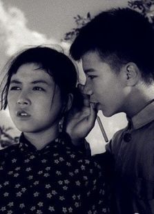小伙伴上映时间