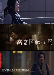 高音区的小鸟微电影
