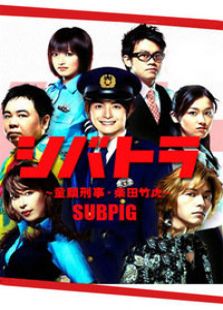 少年刑警电视剧全集