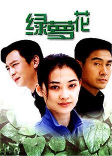 《绿萝花》电视剧_全集完整版高清在线观看,剧