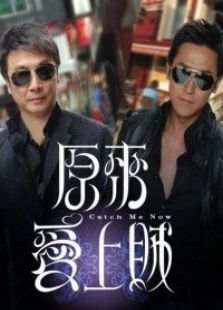 原来爱上贼电视剧全集