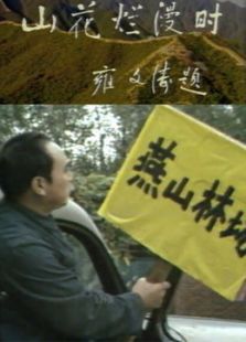 山花烂漫时免费观看