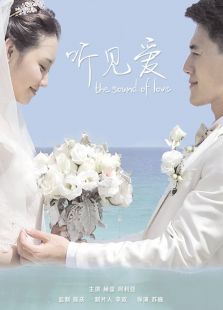 听见爱电视剧全集